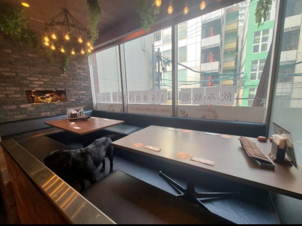 店内１